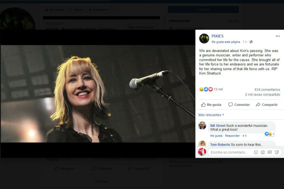 Muere Kim Shattuck, líder de The Muffs y exbajista de Pixies