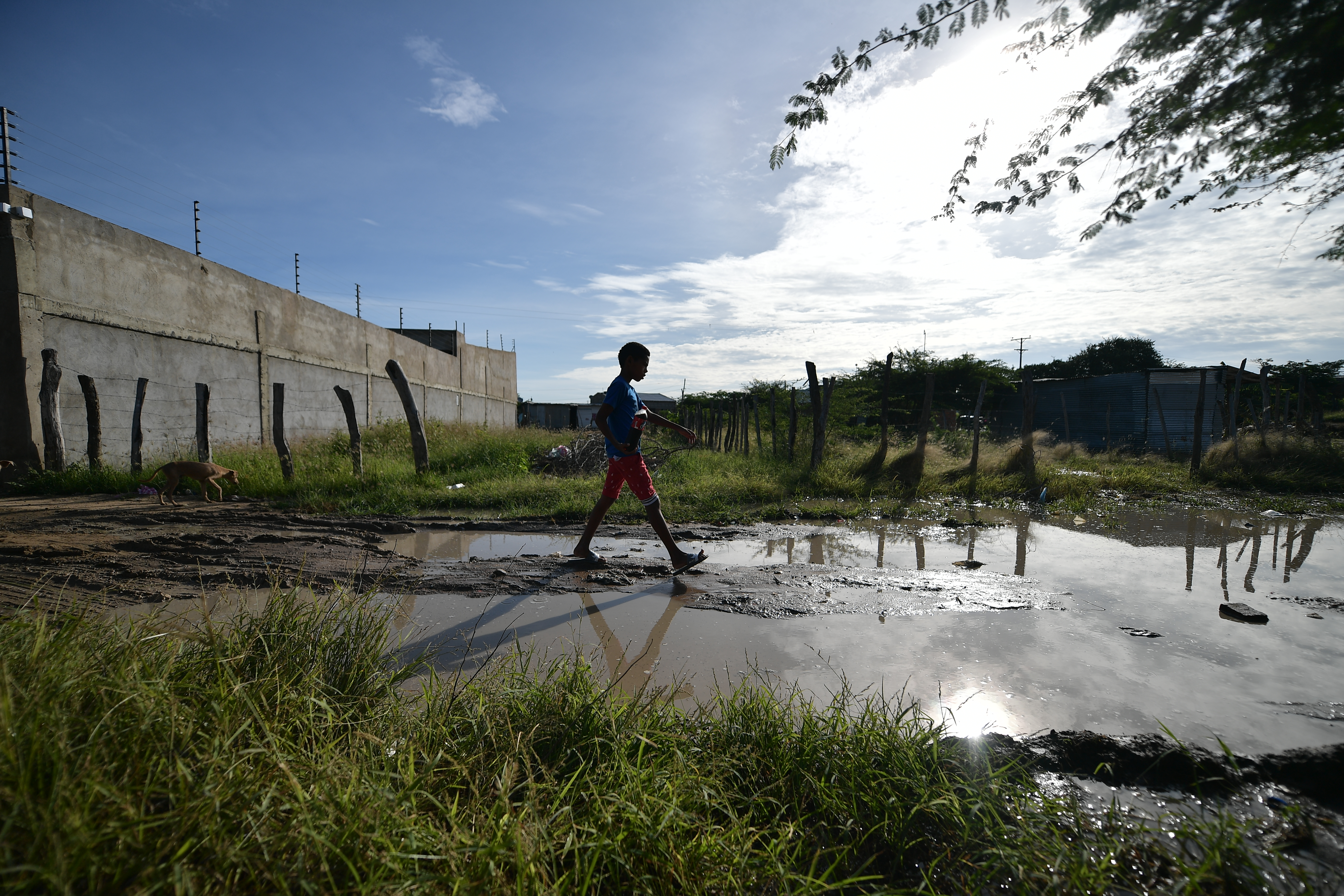 Cada hora un niño es separado de su familia para que no se vulneren sus derechos