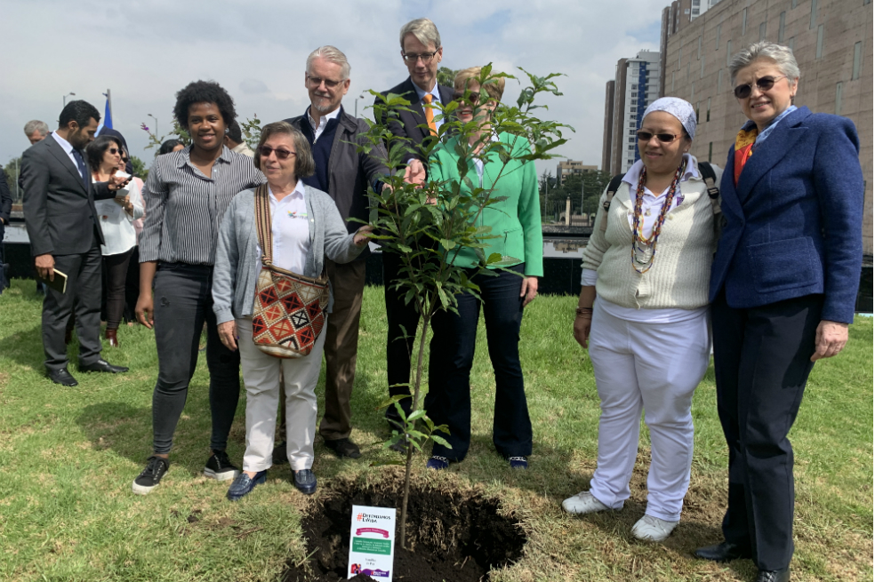 El primer árbol fue sembrado por el embajador del Reino Unido de los Países Bajos, Jeroen Roodemburg; la embajadora de Austria, Marianne Feldmann; la de Bélgica, Jana Zikmundova; de Finlandia, Jarmo Kuuttila; y los defensores: Ehimi Duque, de Afrodes; Johana Sáenz, de la Red de Mujeres Defensoras; e Islena Rey, del comité cívico por los Derechos Humanos del Meta.