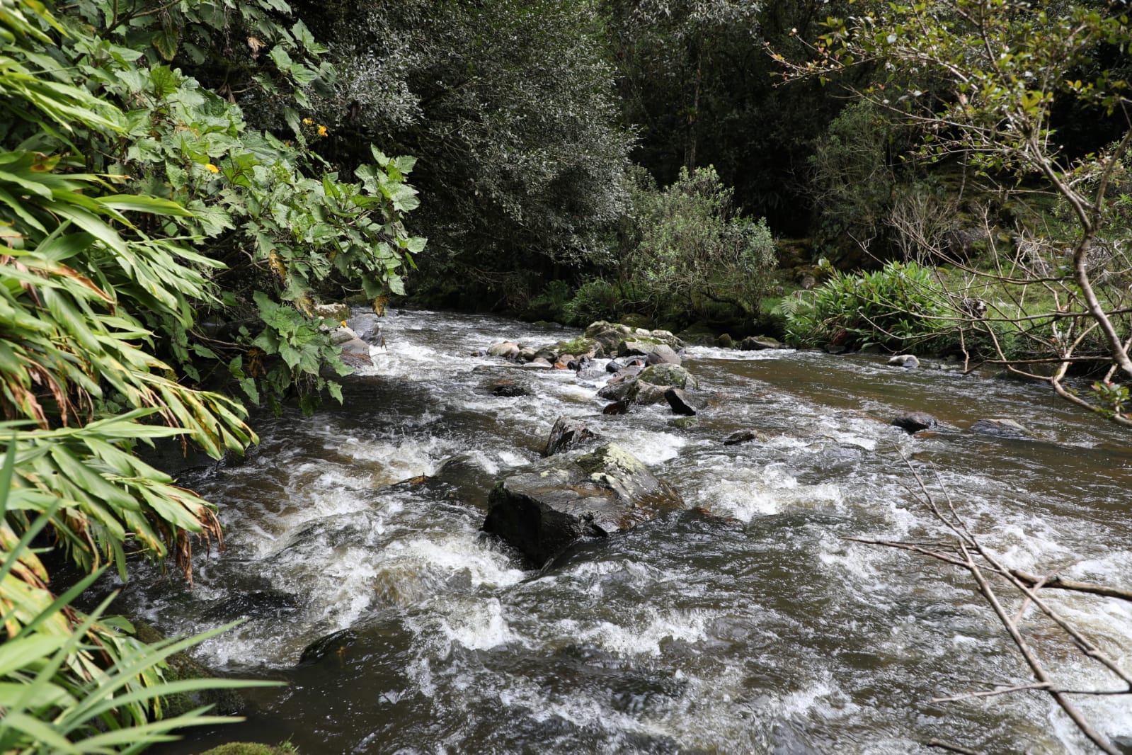Joven que buscaba esmeraldas en río de Santander fue encontrado sin vida