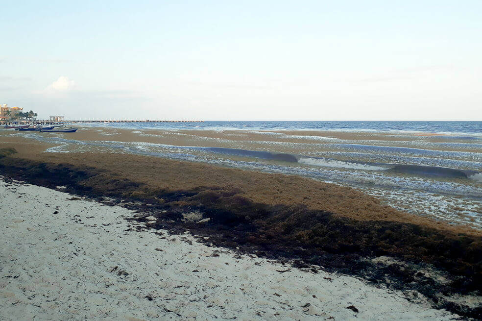 Un reciente estudio, publicado en Nature Climate Change, reveló que en solo 30 años el mar sepultara hasta 100 metros de media a los arenales.  / Cortesía