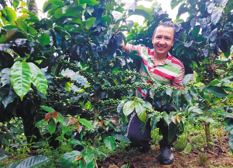 Saliendo de mi finca, empecé a aprender y conocer sobre cafés de calidad y replicarlos en la finca, llevándola hasta la transformación final en nuestras marcas. /Cortesía