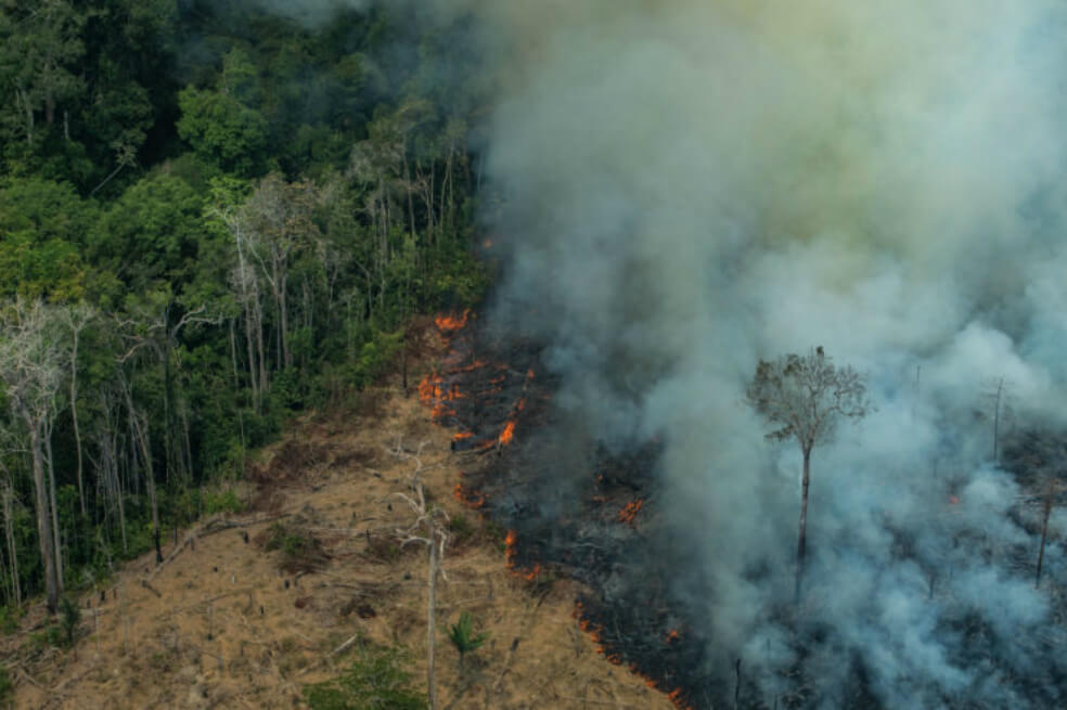 Focos de incendio en Amazonia subieron 30% en 2019