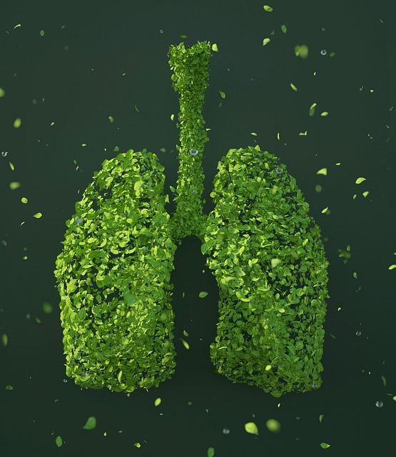 Así celebrará Boehringer Ingelheim los 100 años de su Línea Respiratoria