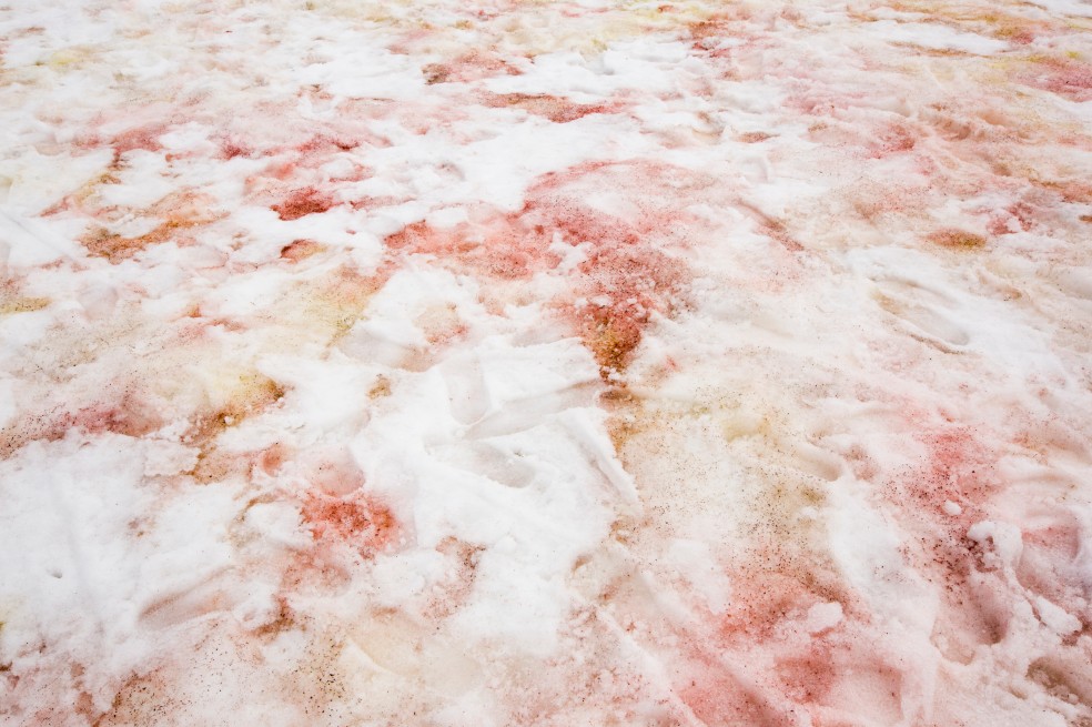 Glaciares rojos, uno de los secretos para entender el cambio climático