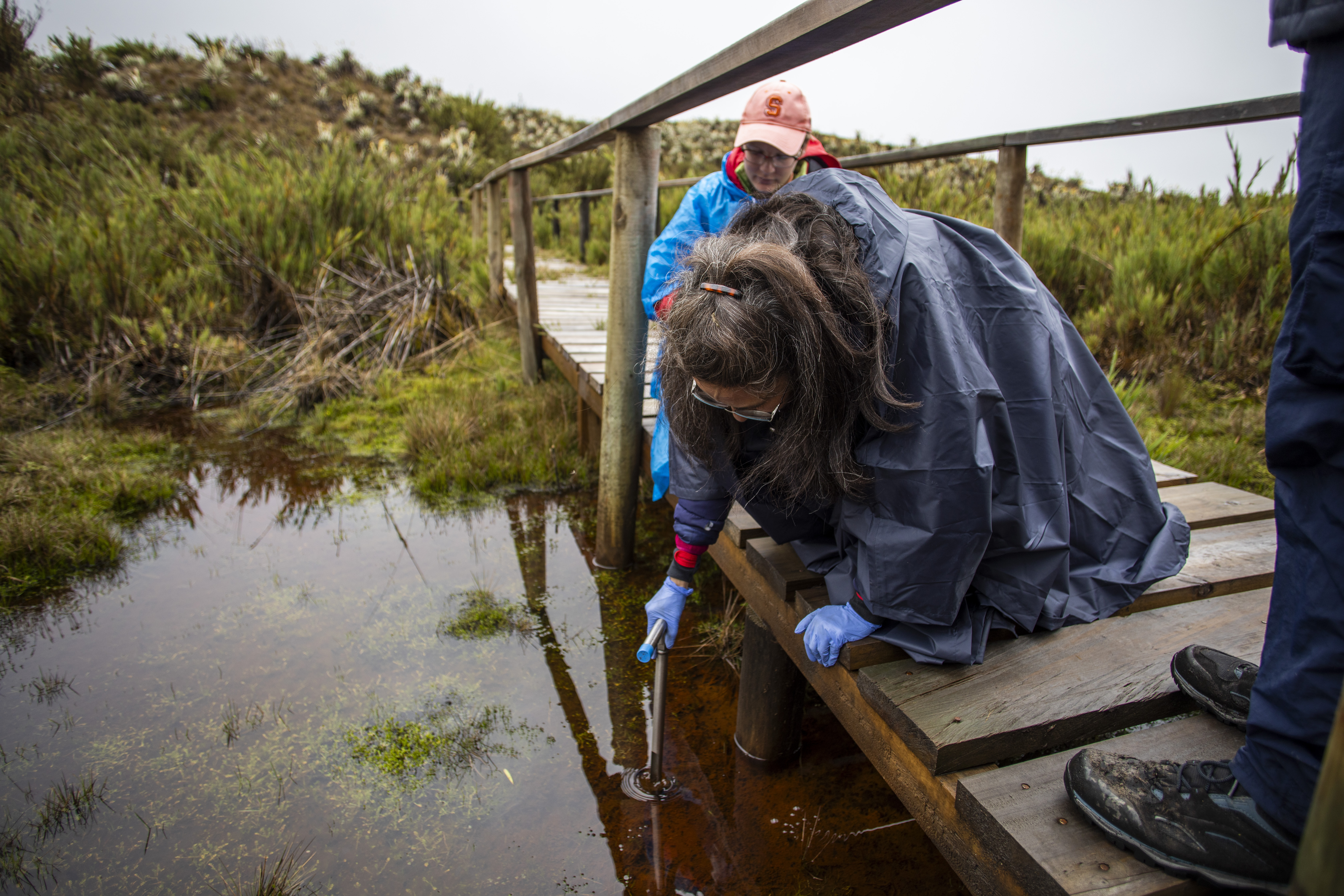 Científicas tomando muestras en la turbera, un tipo de suelo que está constantemente inundado. Por la cantidad de agua, es difícil extraer tierra para el análisis.