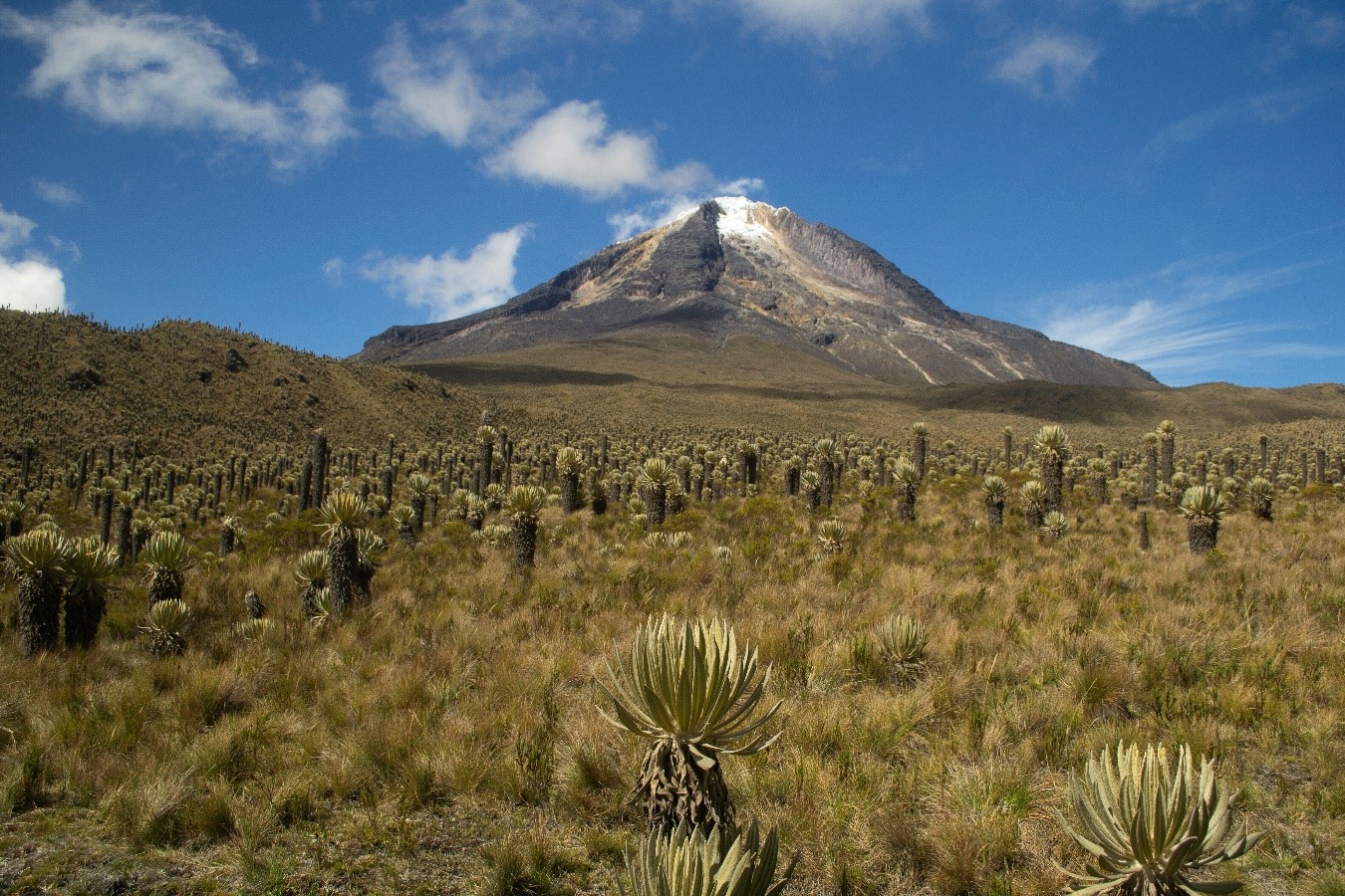 ¿Por qué Ibagué es un destino turístico que vale la pena visitar?