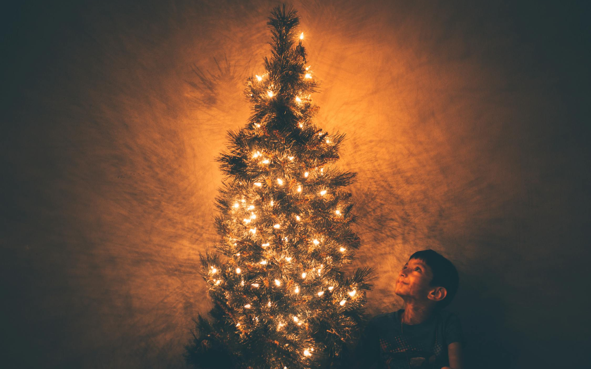 ¿Cómo poner las luces en el árbol de Navidad? Esta SÍ es la forma correcta