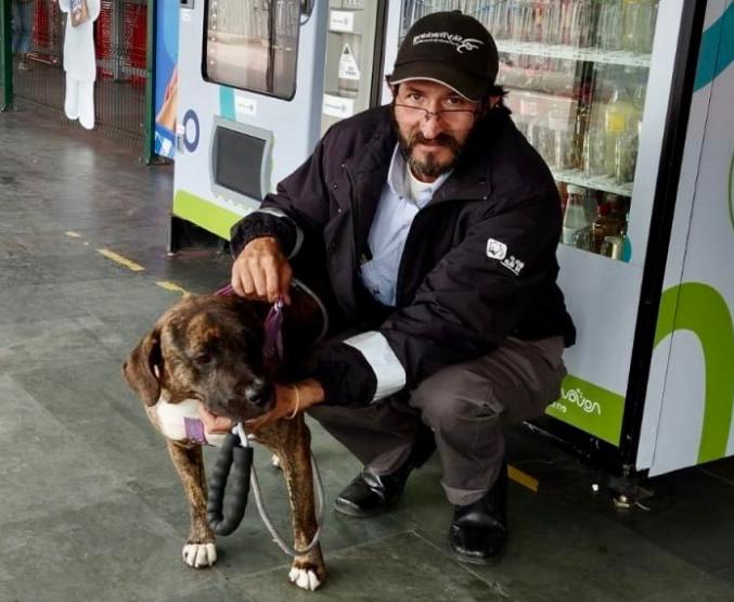 (Video) Conductor de TransMilenio adoptó a perrita que fue abandonada en un bus
