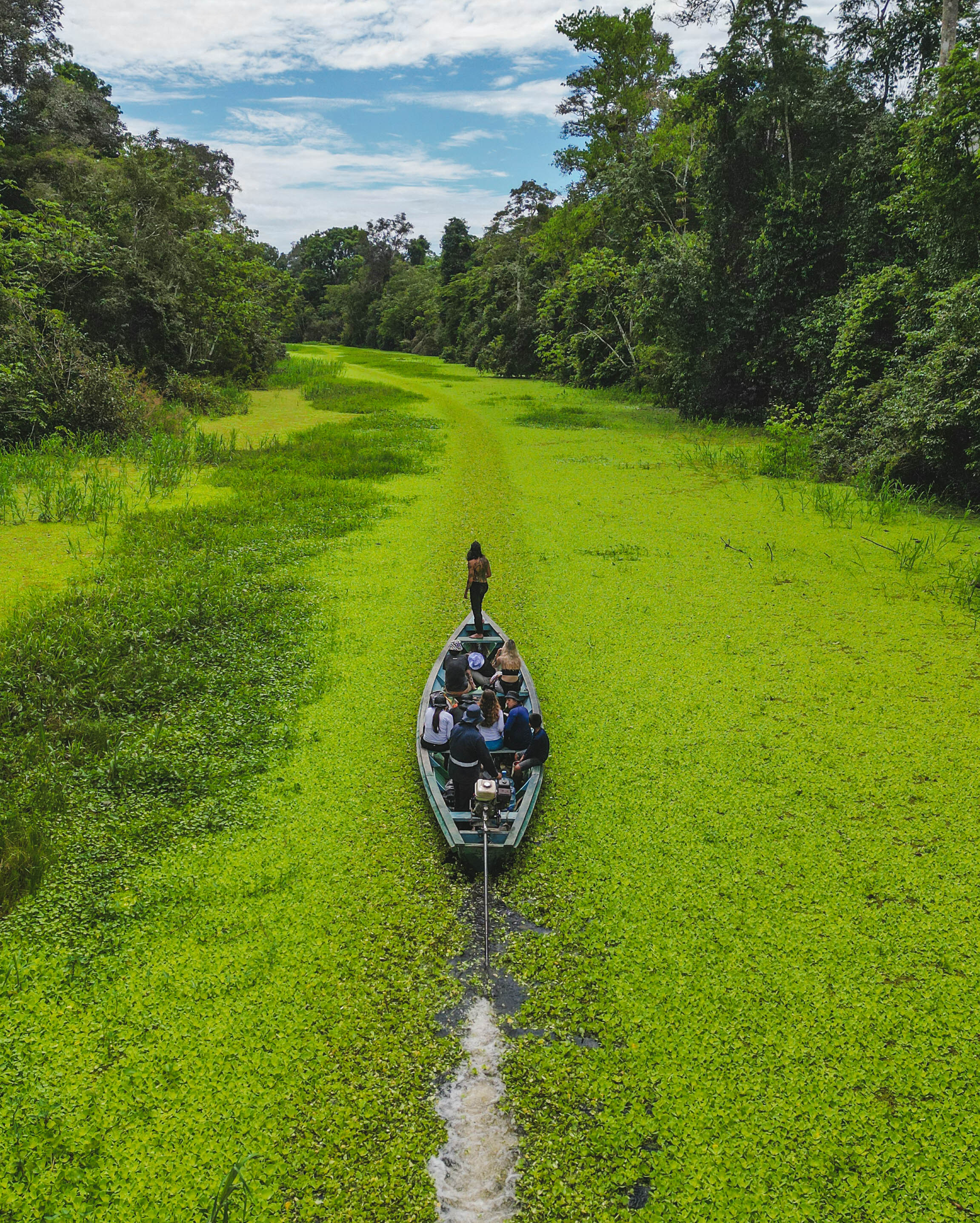 La Amazonía alberga el 30 % de la biodiversidad del planeta, según la Unión Internacional para la Conservación de la Naturaleza. Sin embargo, la destrucción acelerada del bioma puede llevar a la extinción de especies que ni siquiera han sido descubiertas o estudiadas por la ciencia.