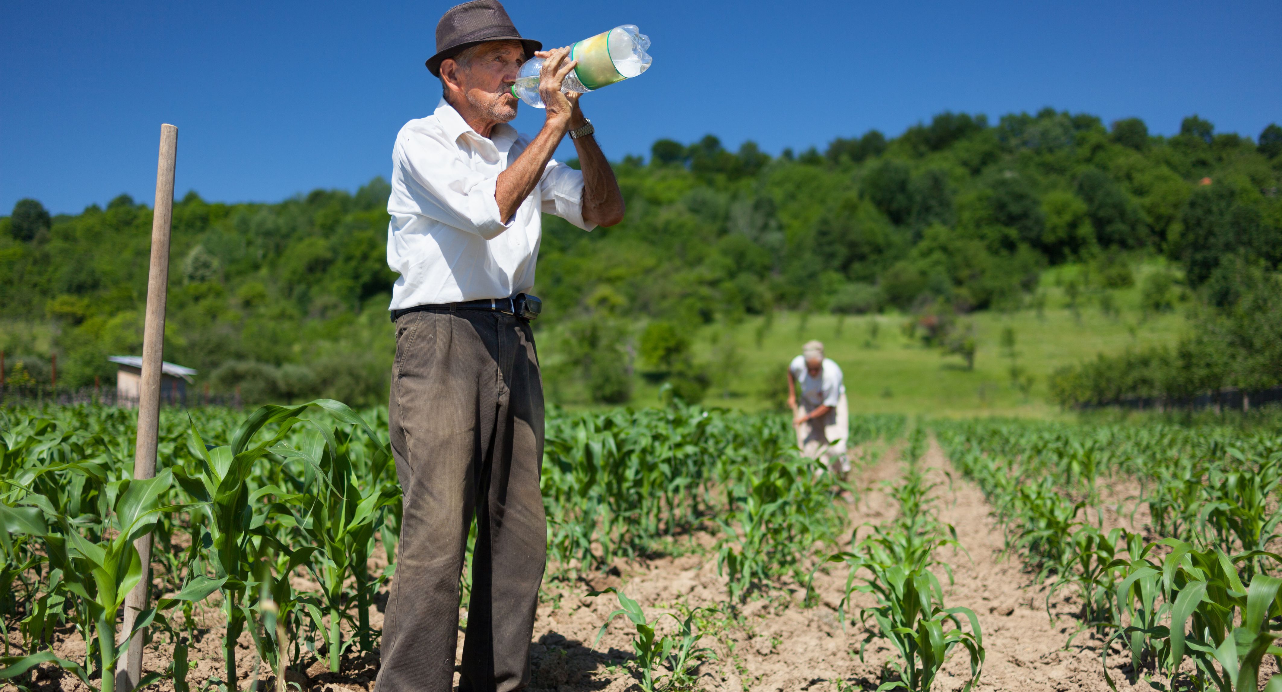 Las políticas agrícolas no están a la altura del desafío climático: OCDE