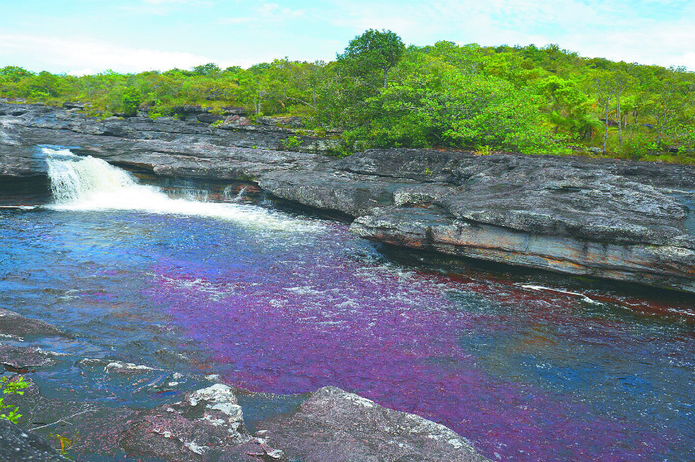 Millonaria demanda a Colombia por proteger a Caño Cristales