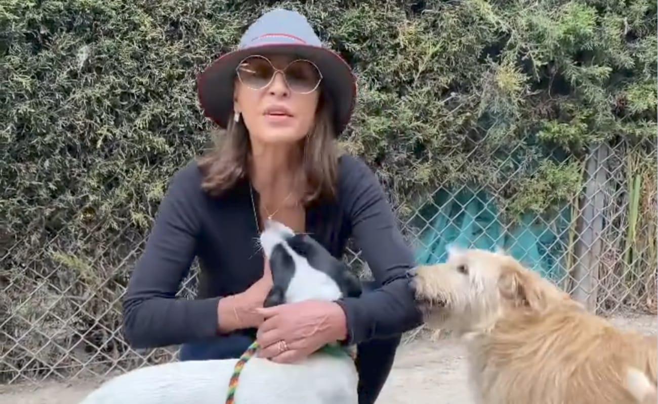 Amparo Grisales envió fuerte mensaje por indignante caso de maltrato animal