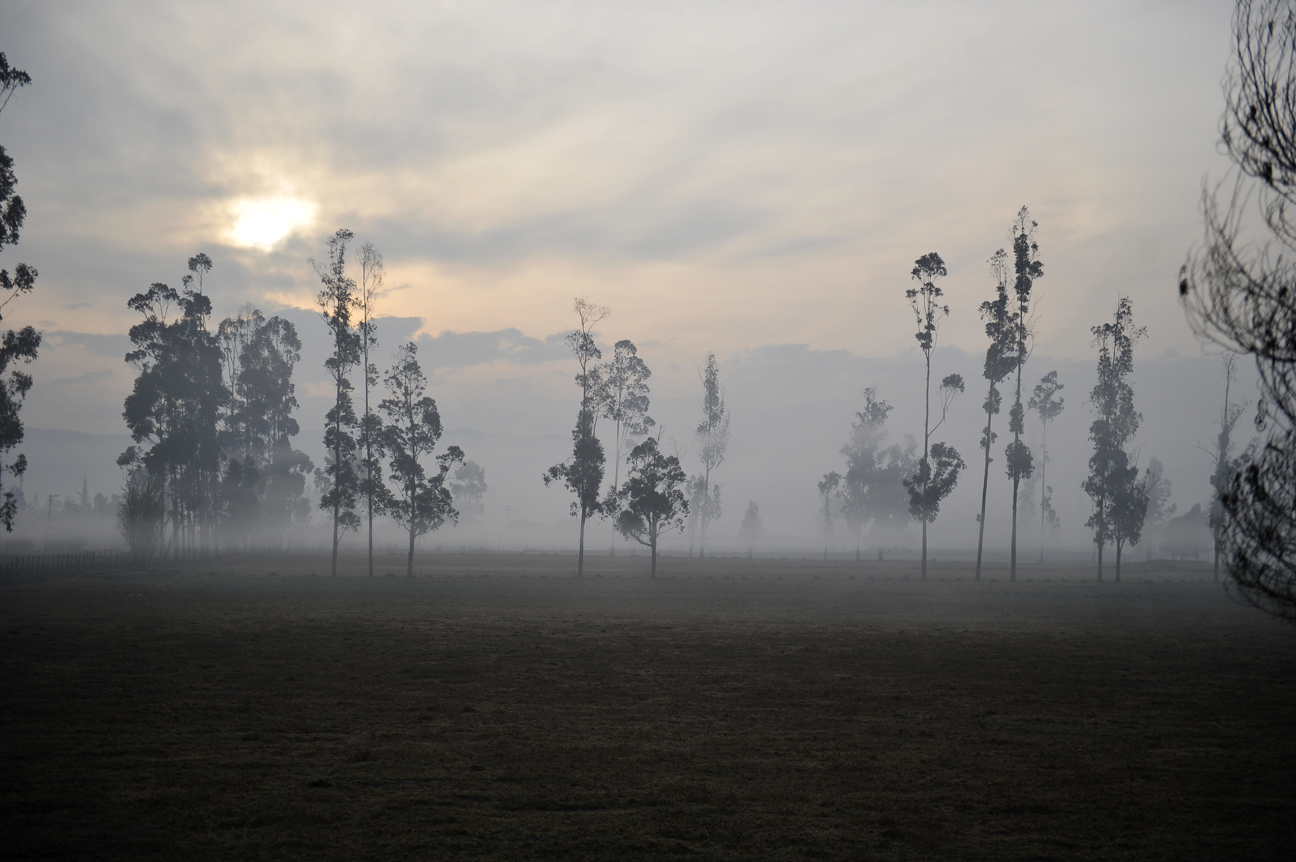 Futuro ambiental de la sabana: primeros avances técnicos, pero diciembre será definitivo