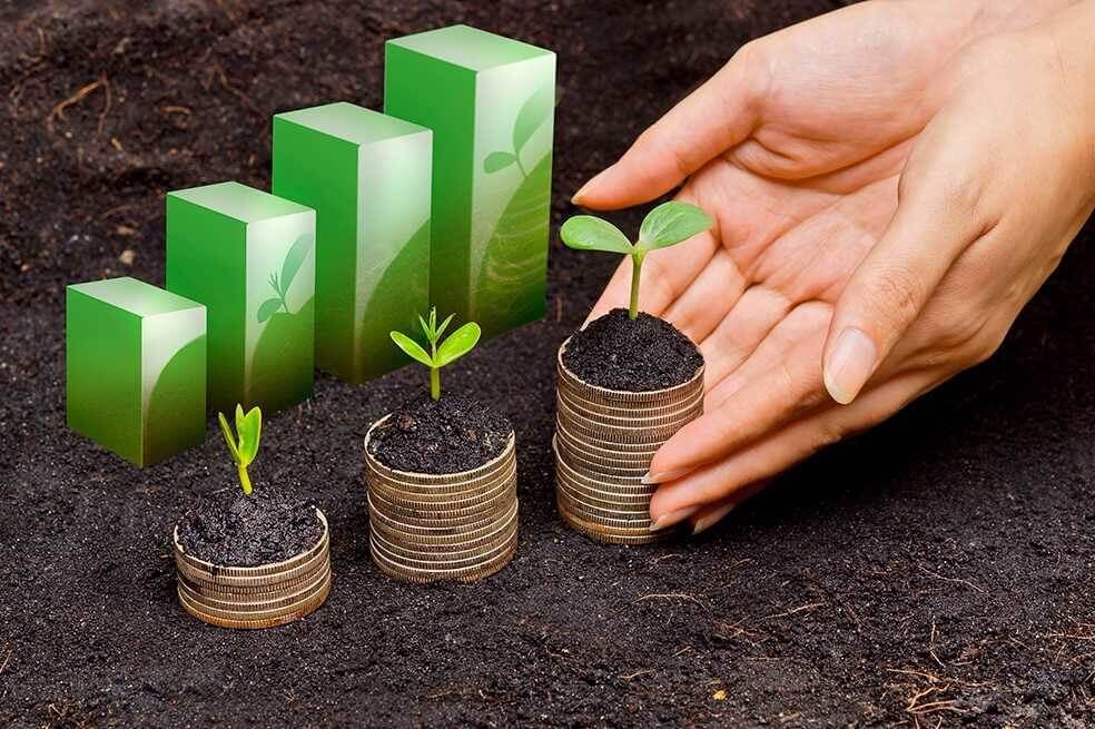 ¿Una empresa sostenible es más rentable?