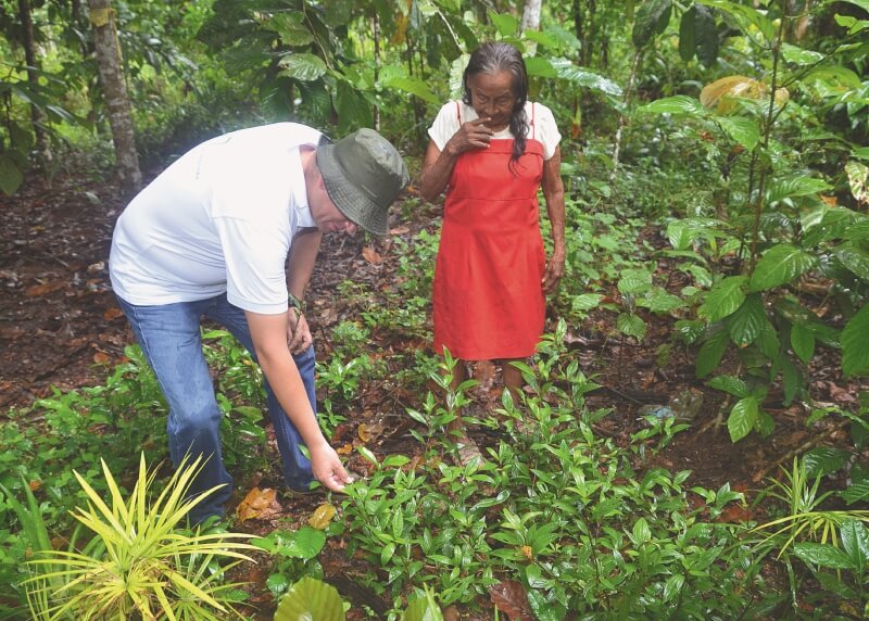 Un directorio científico para las plantas tradicionales