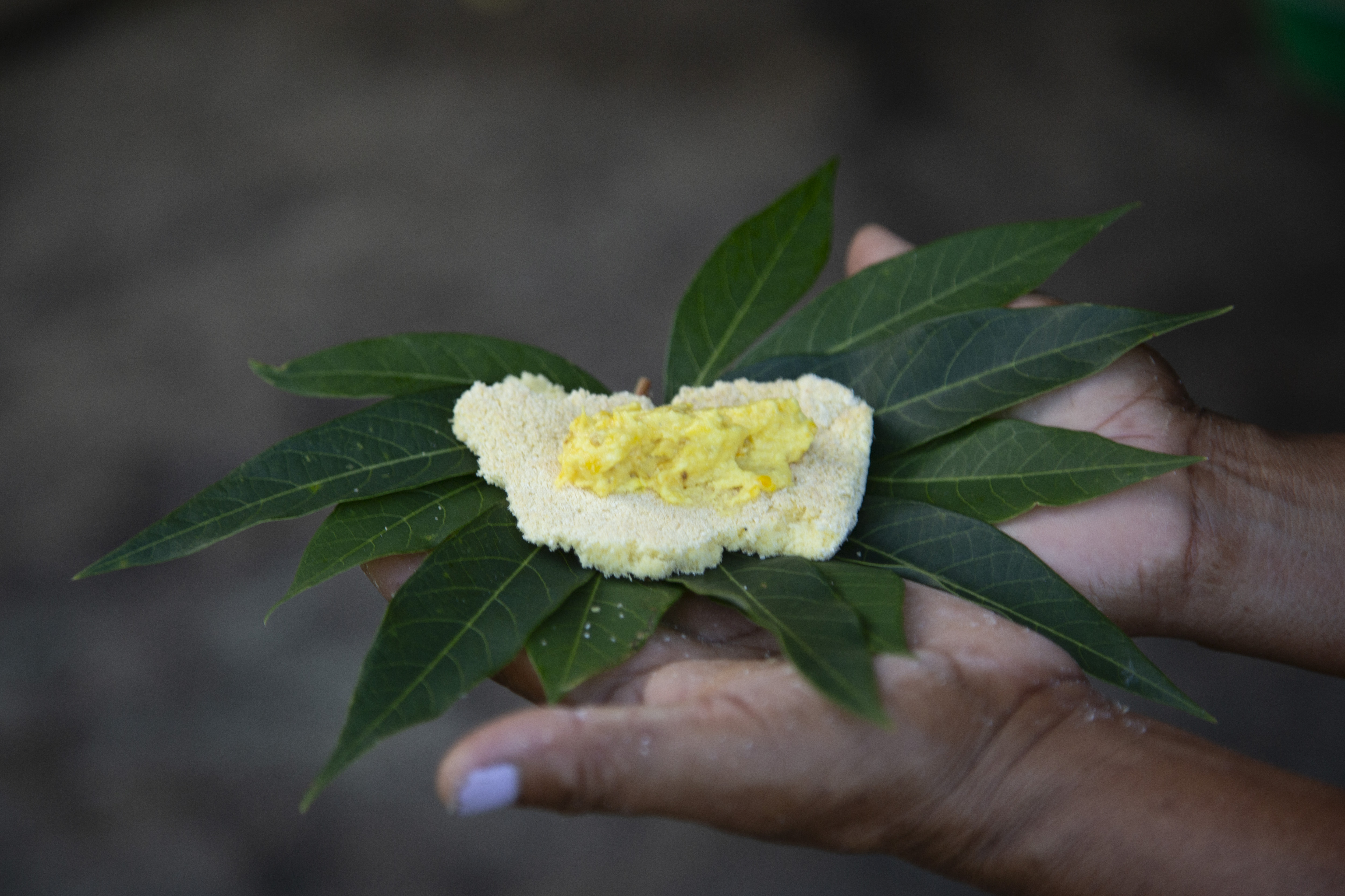 Alimento tradicional amazónico