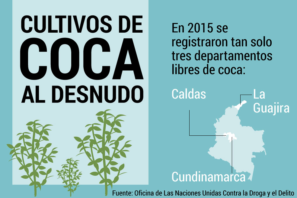 Cultivos ilícitos al desnudo