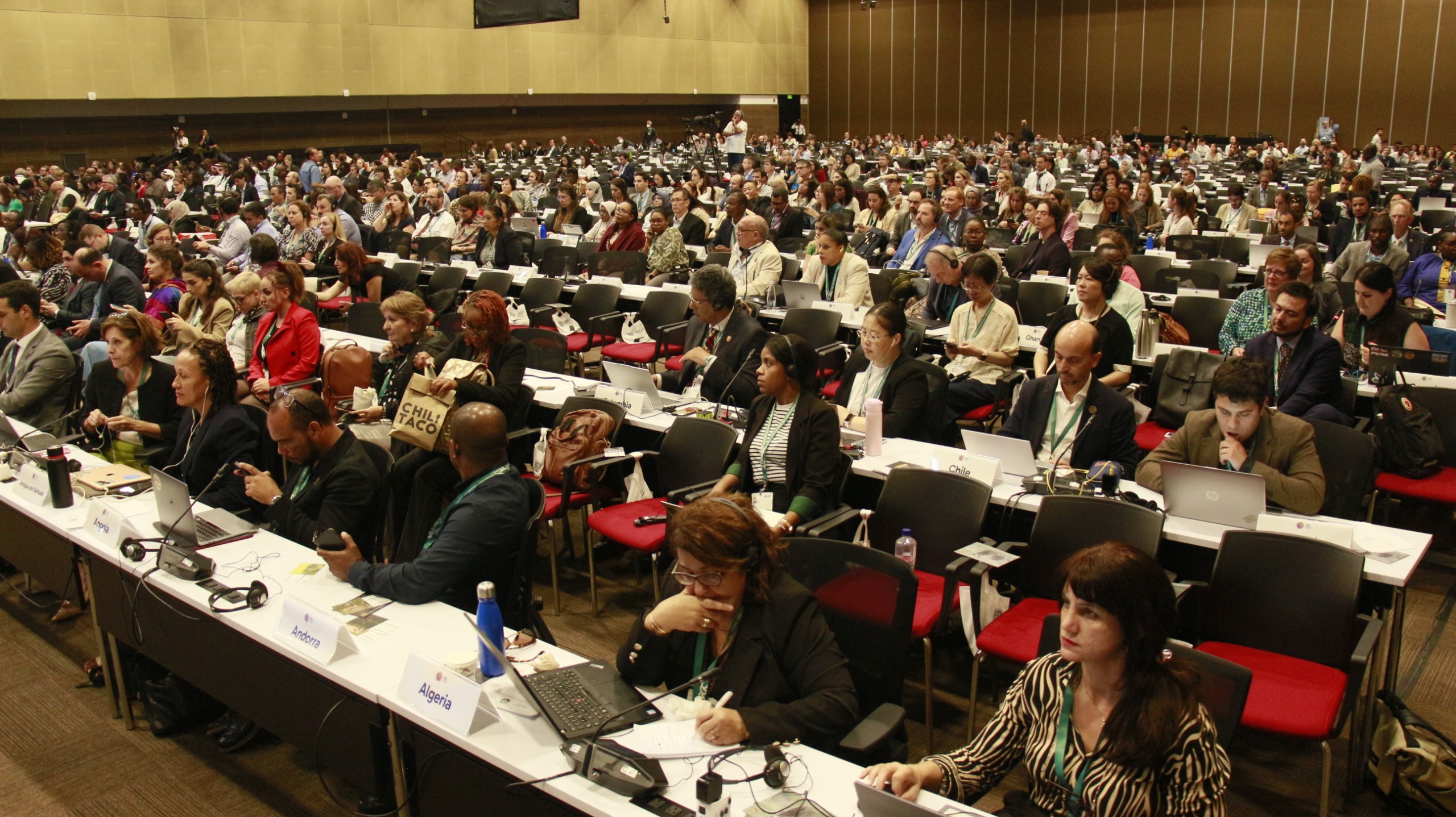 COP16: tres días para acordar lo que no se logró en dos semanas en Cali