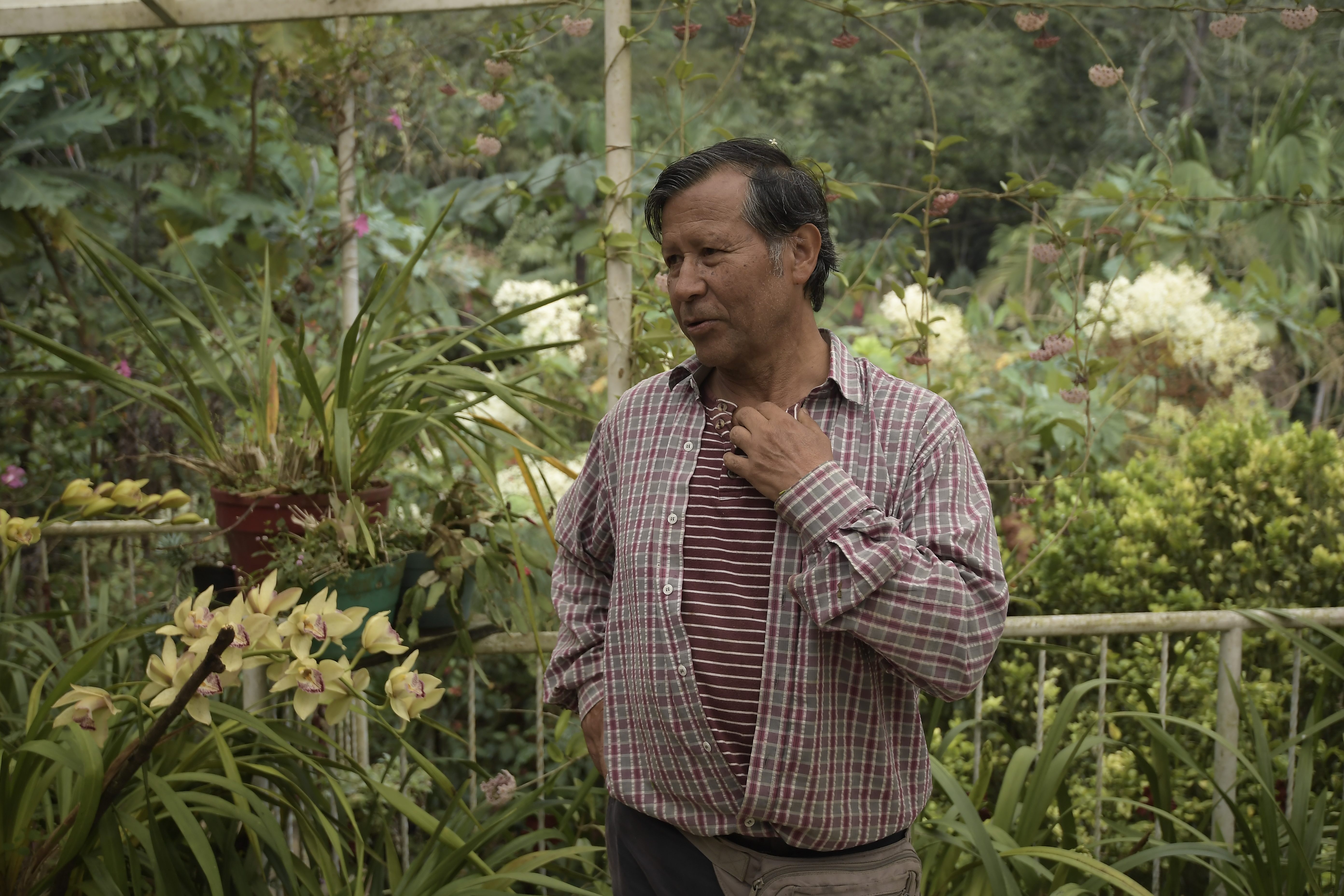 Biólogo, especialista en restauración ecológica