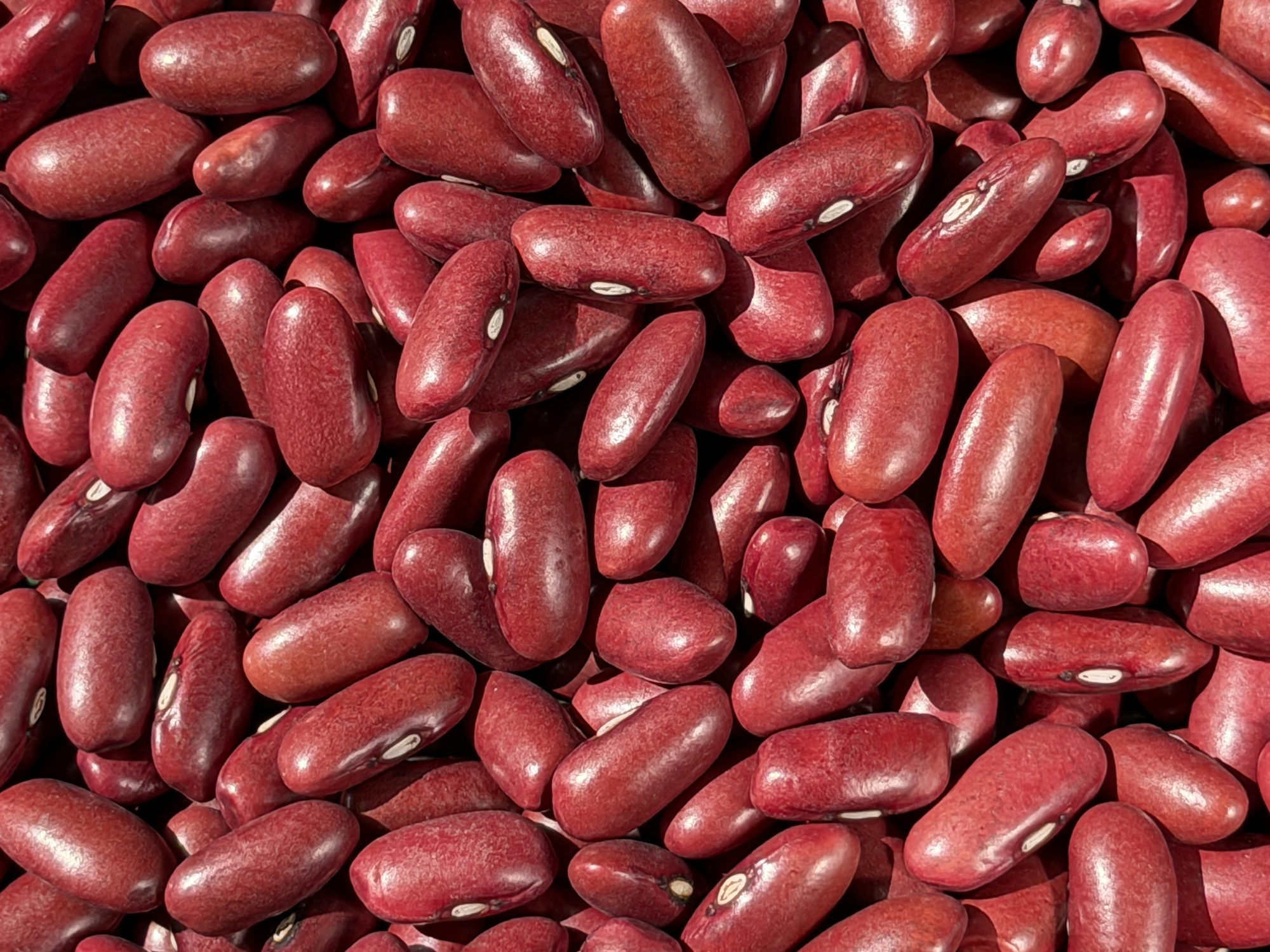 ¿Por qué comer fríjoles? Beneficios y forma correcta de cocinarlos