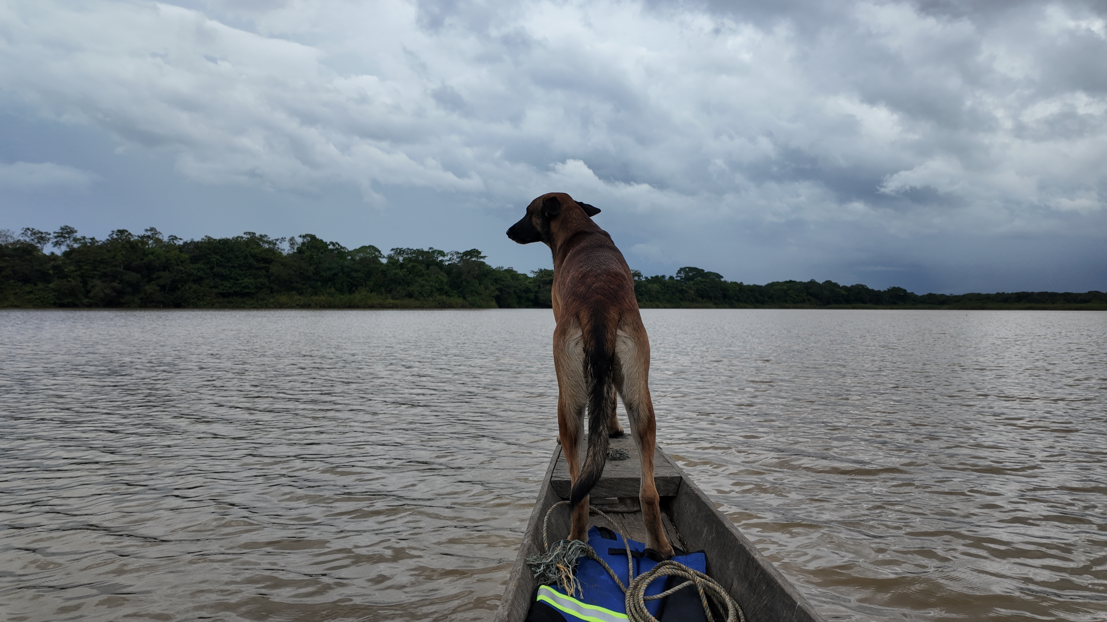 En fotos: Mapiripán, Meta, el destino natural que debe conocer en Colombia