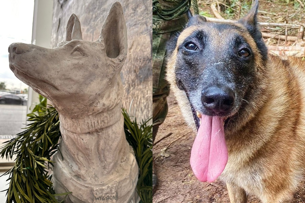 Perro Wilson: guía del canino reveló el “error” por el cual se escapó en la selva