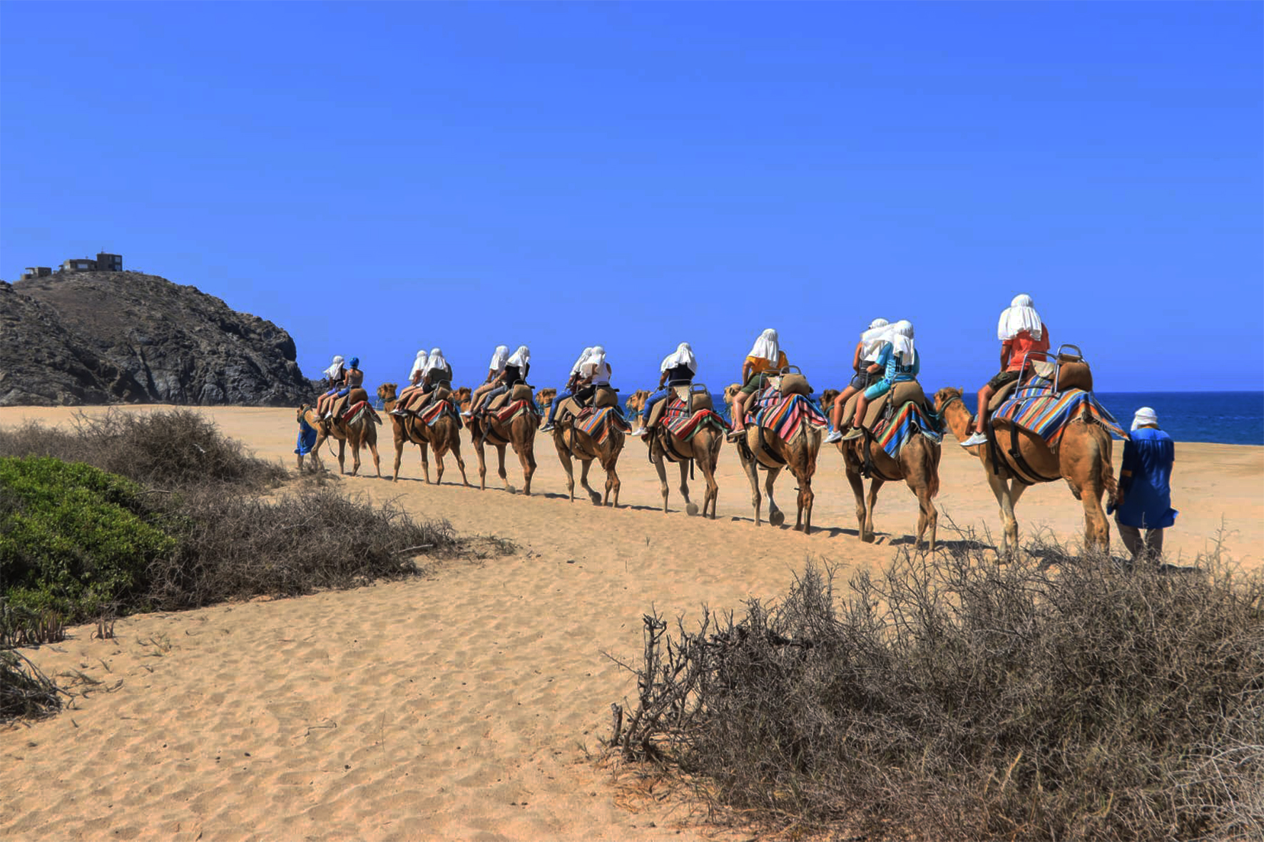 El Rancho Tierra Sagrada es un resguardo para más de 40 camellos que fueron rescatados de circos principalmente de Estados Unidos. En este espacio, los cordiales gigantes jorobados cuentan con el clima perfecto y los cuidados necesarios que garantizan su buena calidad de vida y sirven de epicentro para que después de una caminata de cerca de 15 minutos, las leyendas tradicionales amenicen una toma de diversos tequilas y mezcales, cada trago con una forma de brindar diferente.