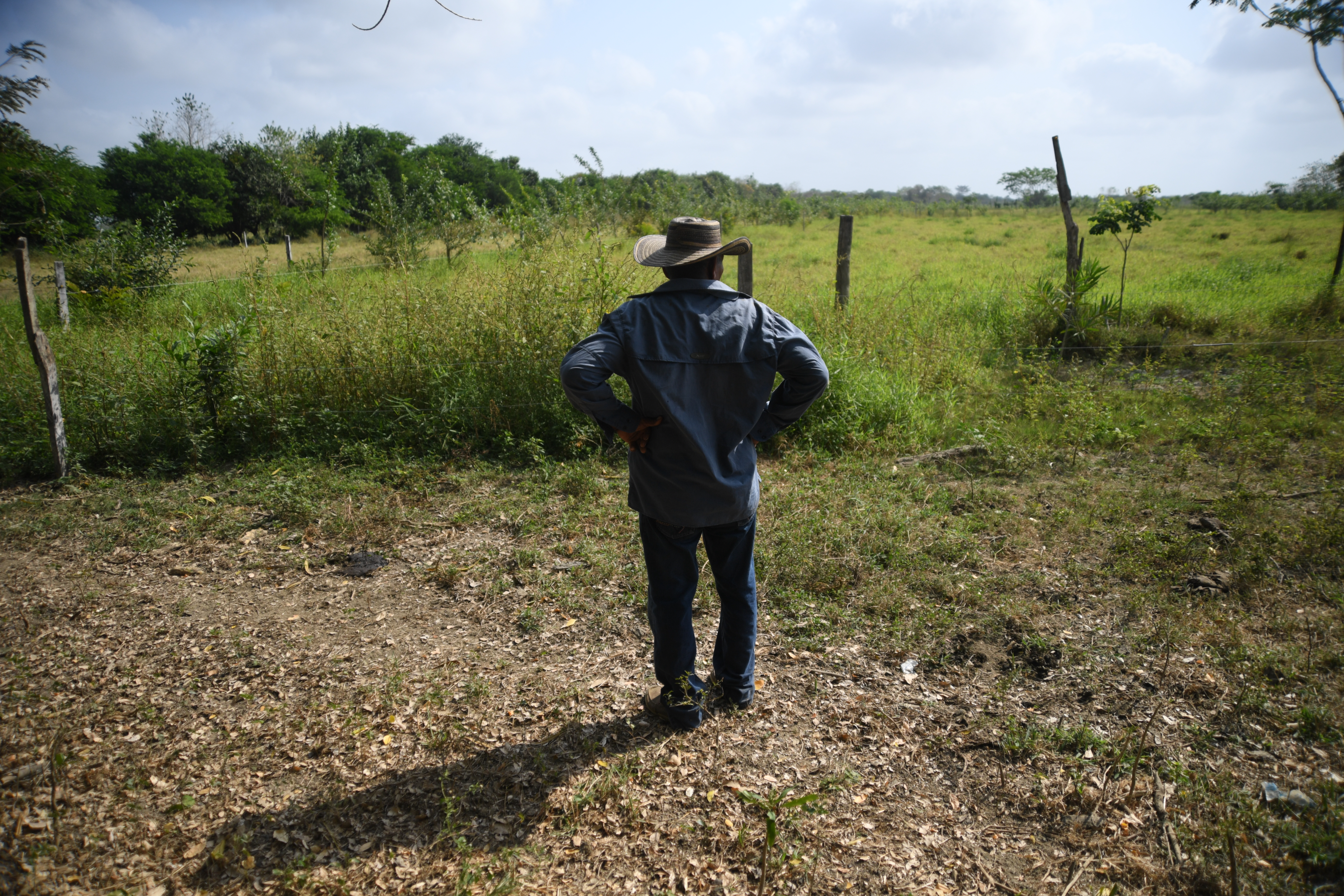 Gobierno introduce herramientas para acelerar la reforma agraria