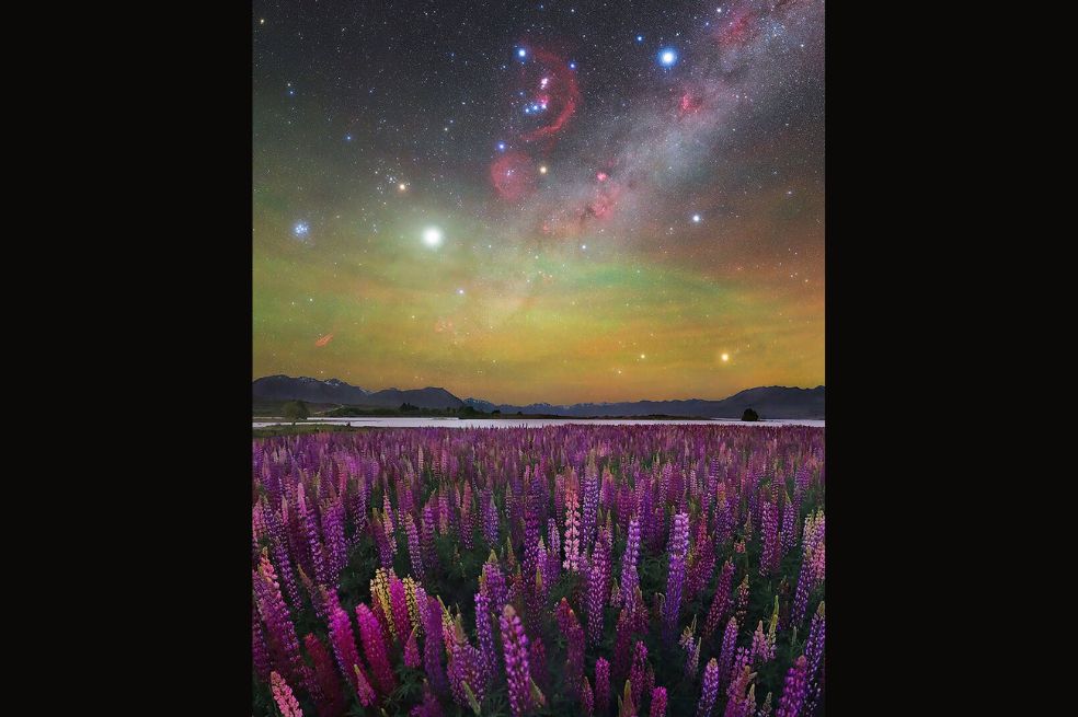 “Universo de Sal” de Alejandra Heis y dice que las Salinas Grandes era uno de esos lugares que necesitaba fotografiar de noche.