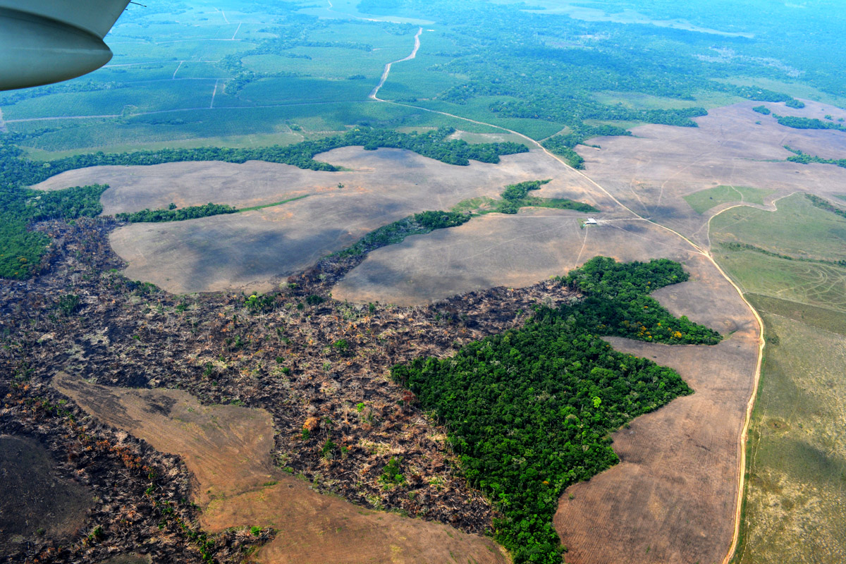 La deforestación entre enero a abril superó al total de 2019 en la Amazonia, según informe