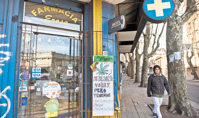 Al fin llega la marihuana a las farmacias uruguayas