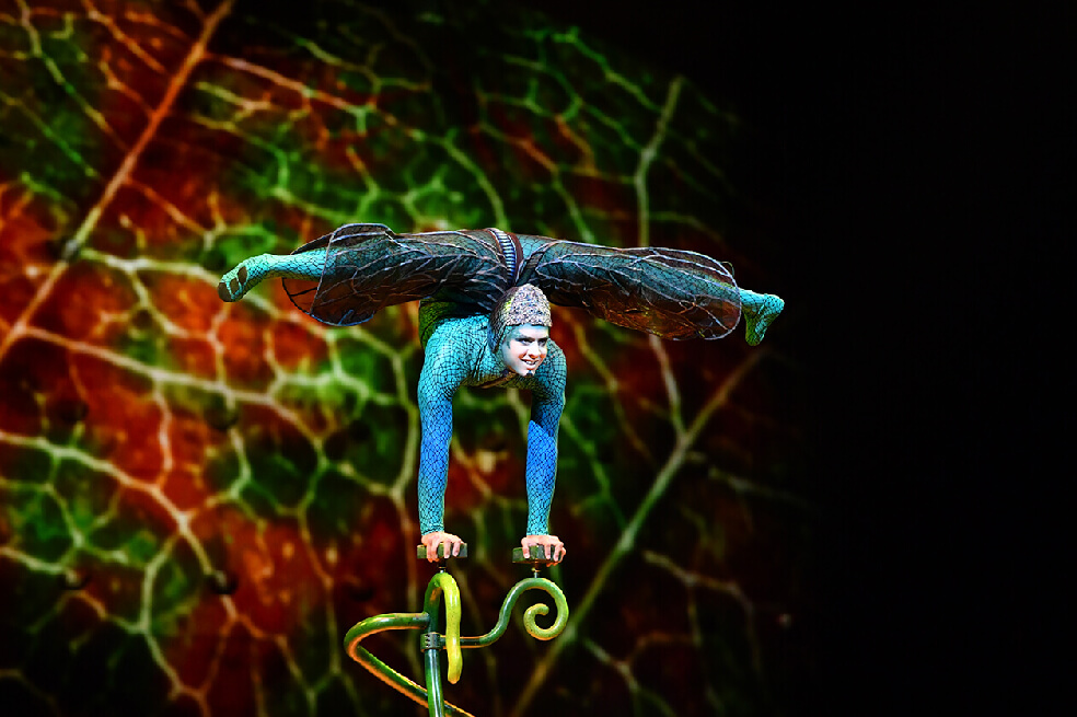 Cirque du Soleil llega a Medellín con su espectáculo «Ovo»
