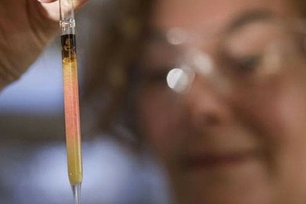 Científicos descubren el color más antiguo de la Tierra