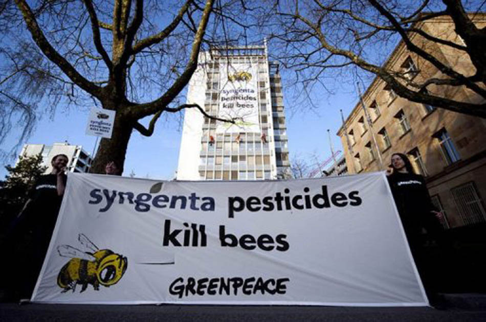 Greenpeace protesta en Suiza contra los plaguicidas que matan abejas