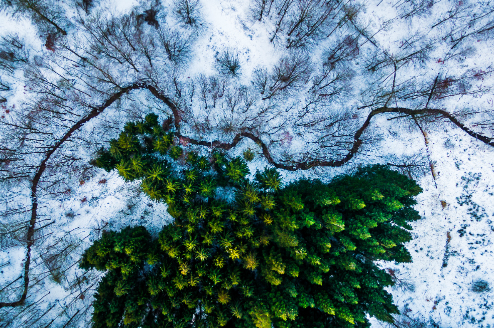 Si tiene buenas fotos tomadas con drones, este concurso puede ser para usted