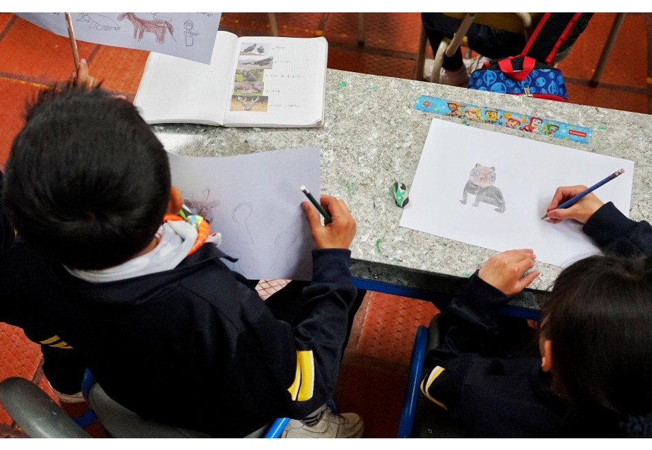 ¡Inscríbase! Concurso de dibujo para jóvenes y niños amantes de los animales