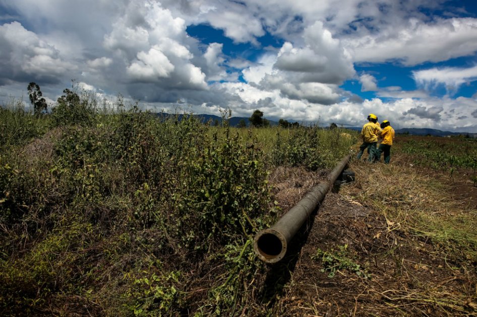 Agricultores usan agua contaminada del río Bogotá para regar sus cultivos