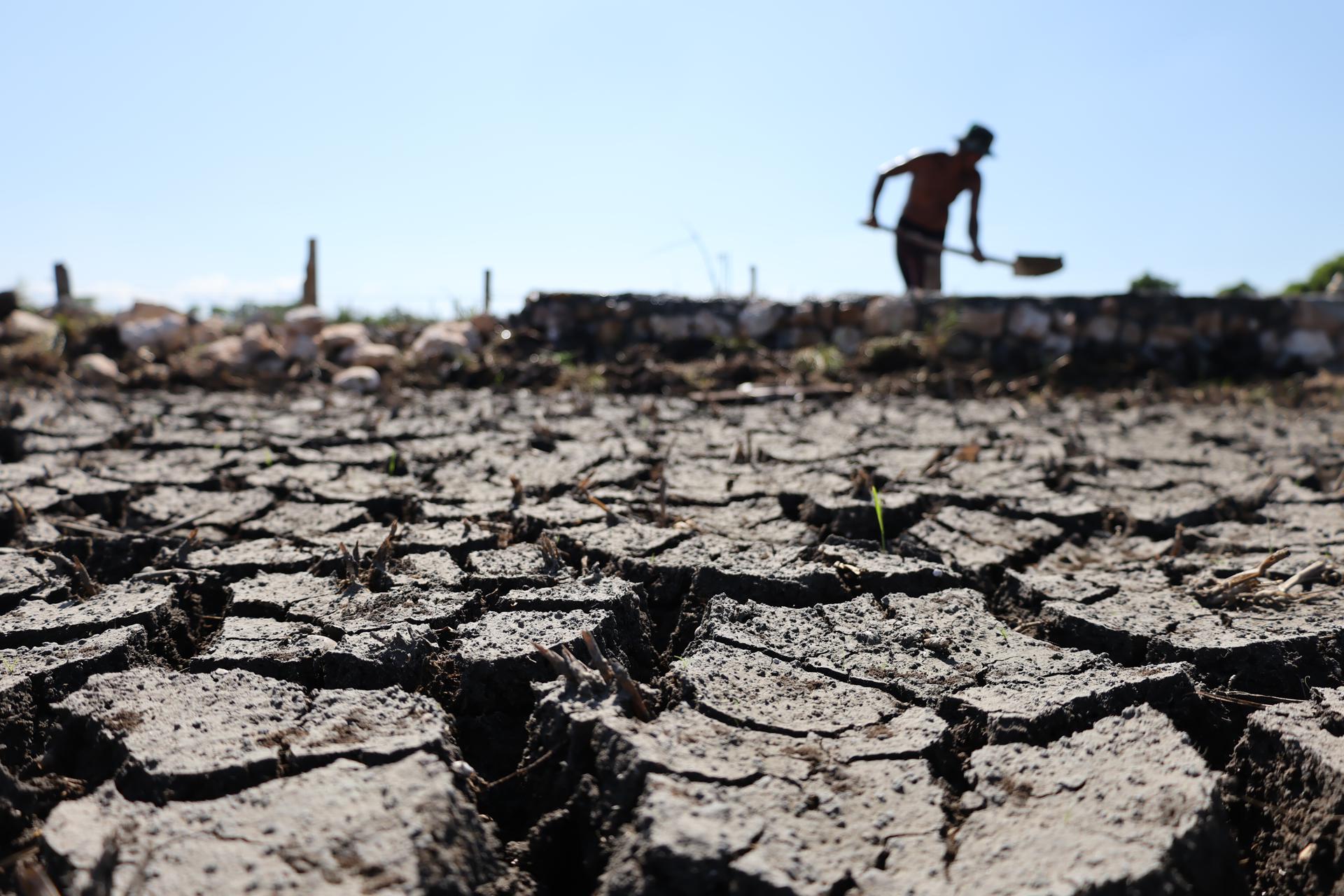 Fenómeno de El Niño: aumenta la probabilidad de que sea “muy fuerte”. ¿Qué impactos esperar?