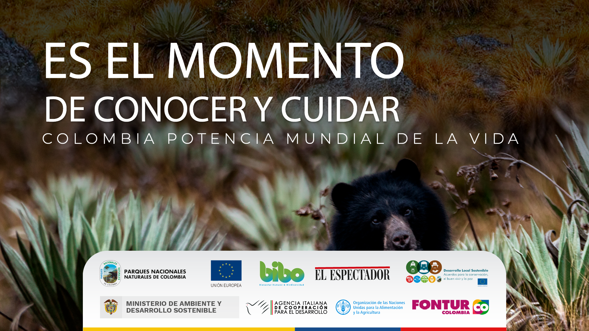 Momento de conocer y cuidar nuestros Parques Naturales Nacionales de Colombia