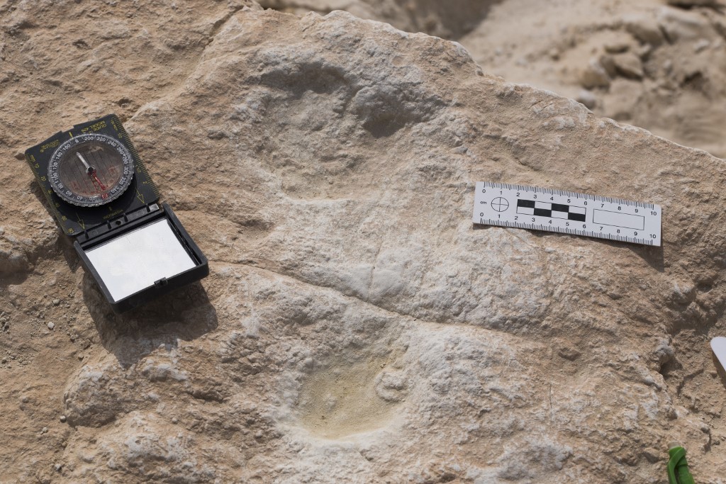 Hallan huellas humanas de hace 120.000 años en Arabia
