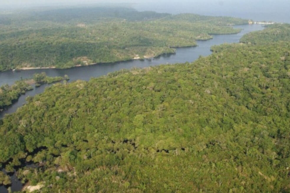 Deforestación en la Amazonía brasileña subió un 80% en septiembre
