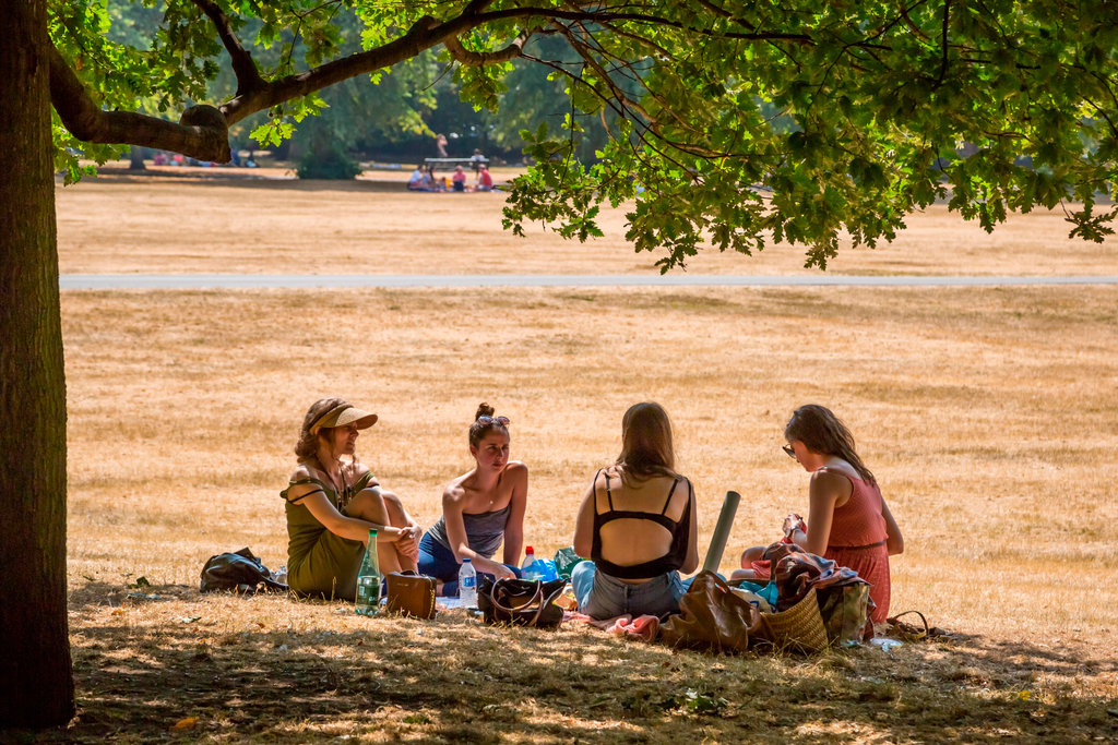 Entre más se urbanice el mundo más expuestos estaremos al calor extremo
