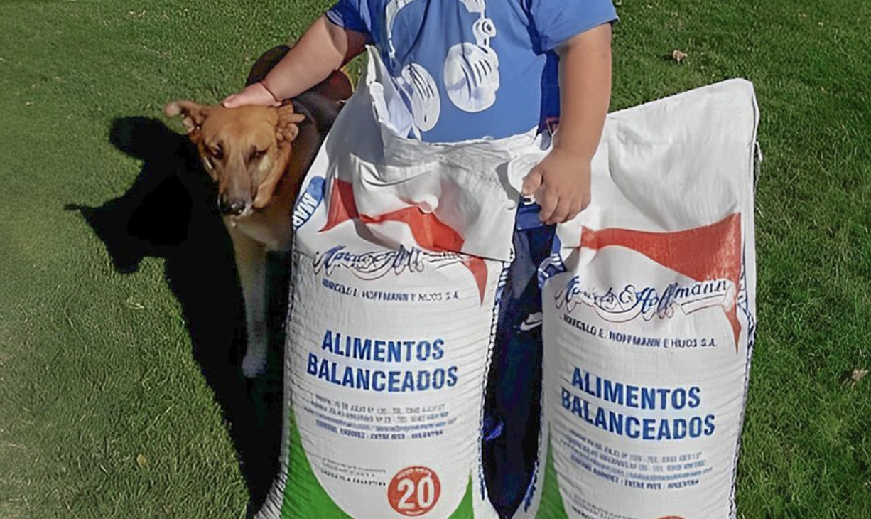 Con rifas, un niño de cinco años consiguió dinero para alimentar a perros abandonados