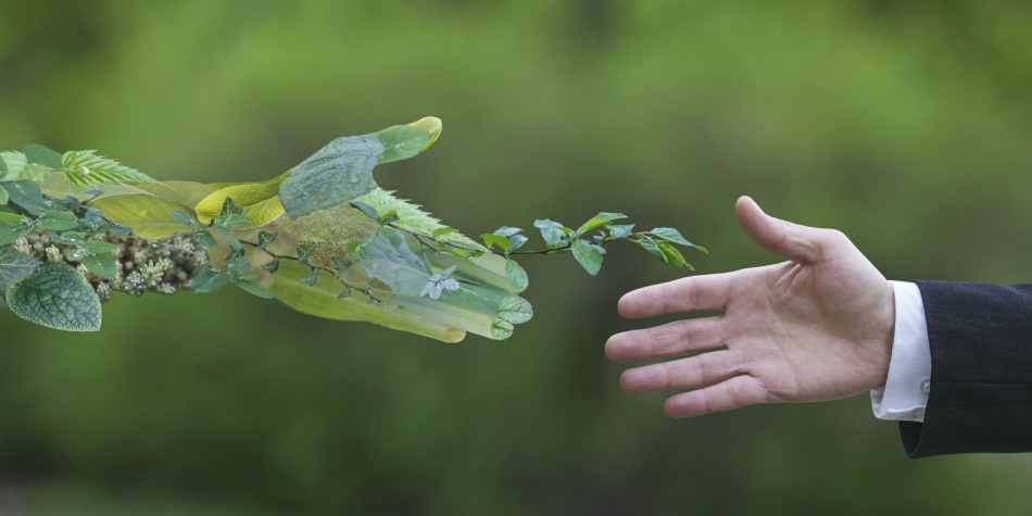 Consumir menos para cuidar más al planeta