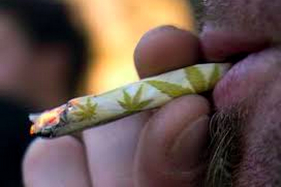En Congreso proponen legalización total de la marihuana