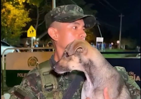 Soldado adoptó a Aqua, perrita que hizo de todo para sobrevivir a inundaciones en Córdoba