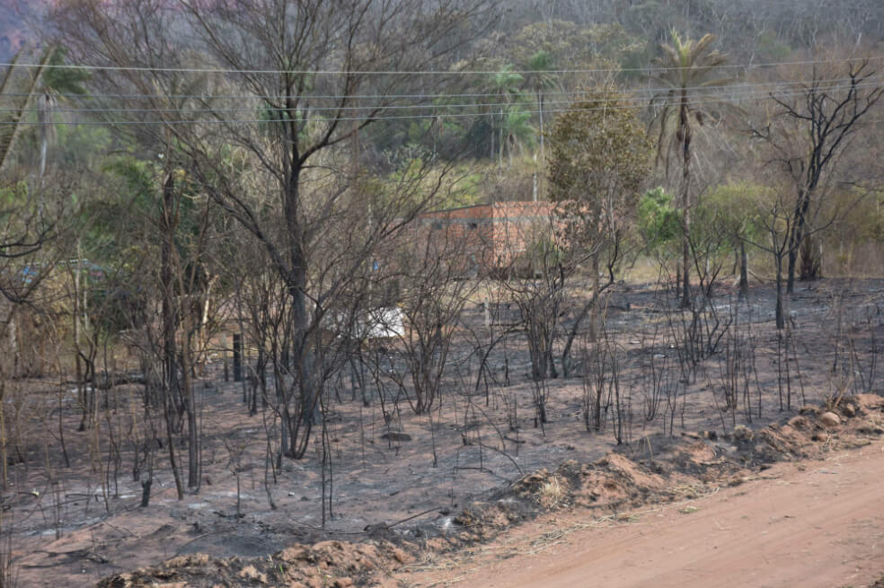 Humo de los incendios en la Amazonía y en Bolivia llega a Perú