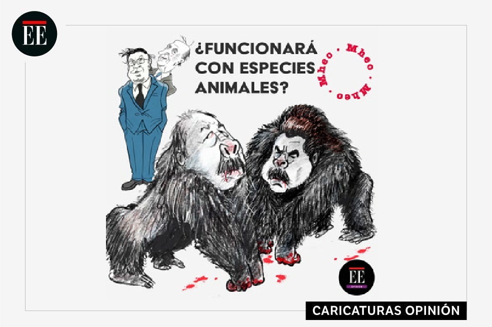 Política exterior humana