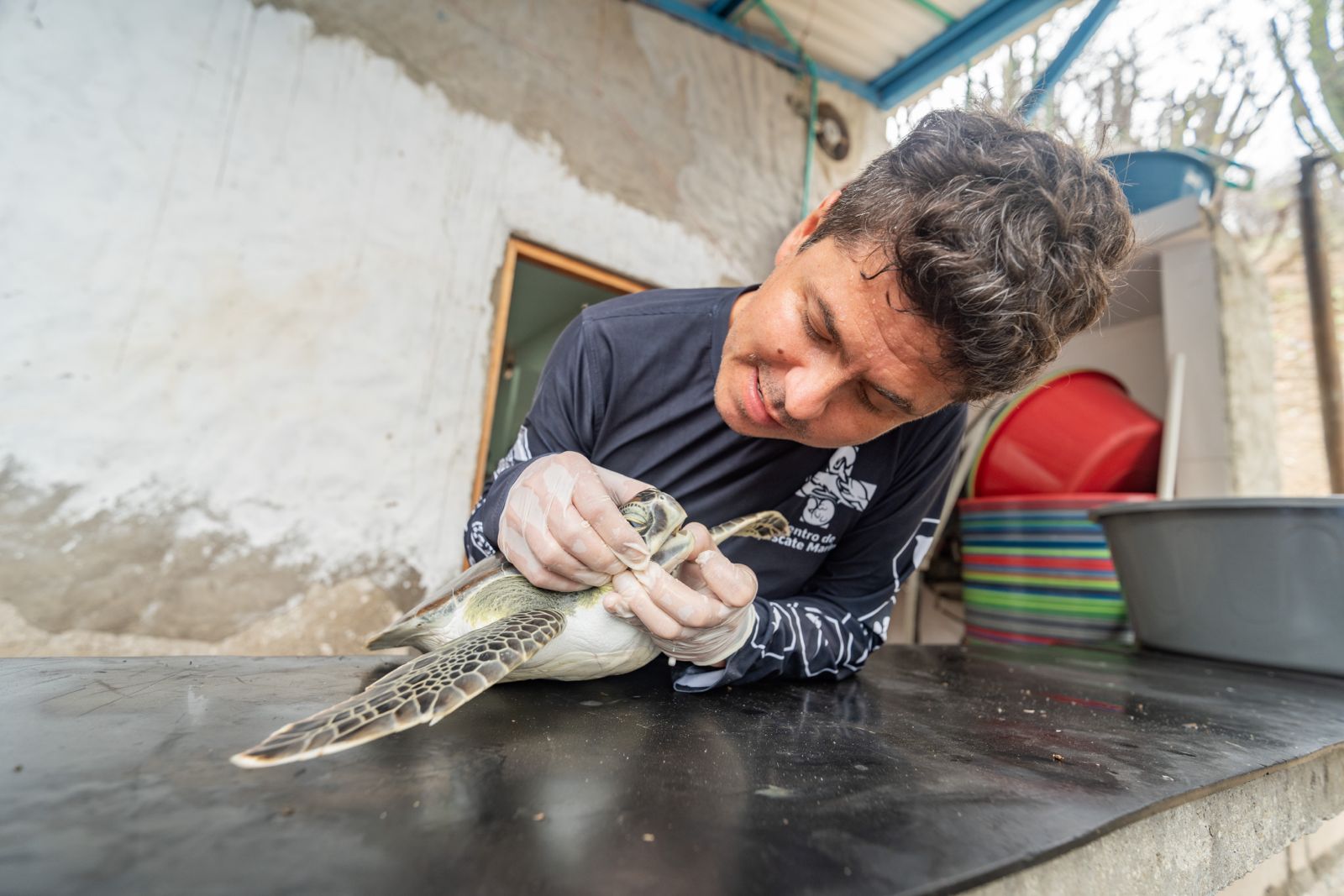 Carlos Zuluaga, veterinario del Centro de Vida Marina, antes conocido como Acuario del Rodadero.